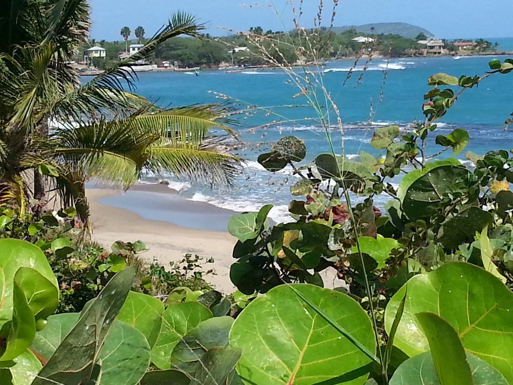Treasure Beach Hotel Exterior photo